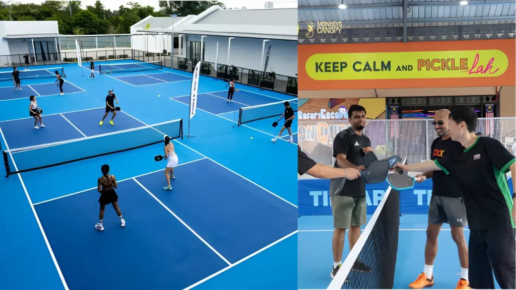 Gelanggang Pickleball